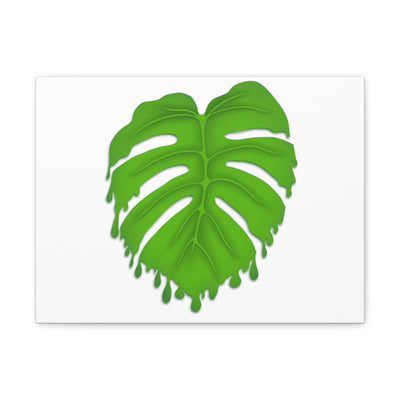 Melting Monstera Canvas