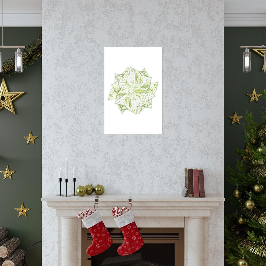 Snow Queen Pothos Print – Variegated Pothos Art on Museum Grade Paper Unframed - Laura Christine Photography & Design