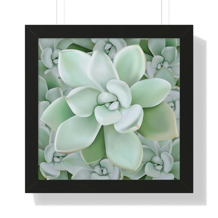 Pachyveria Haagei Succulent Pattern Framed Print, Poster, Printify, Framed, Home & Living, Indoor, Paper, Posters, Laura Christine Photography & Design, laurachristinedesign.com