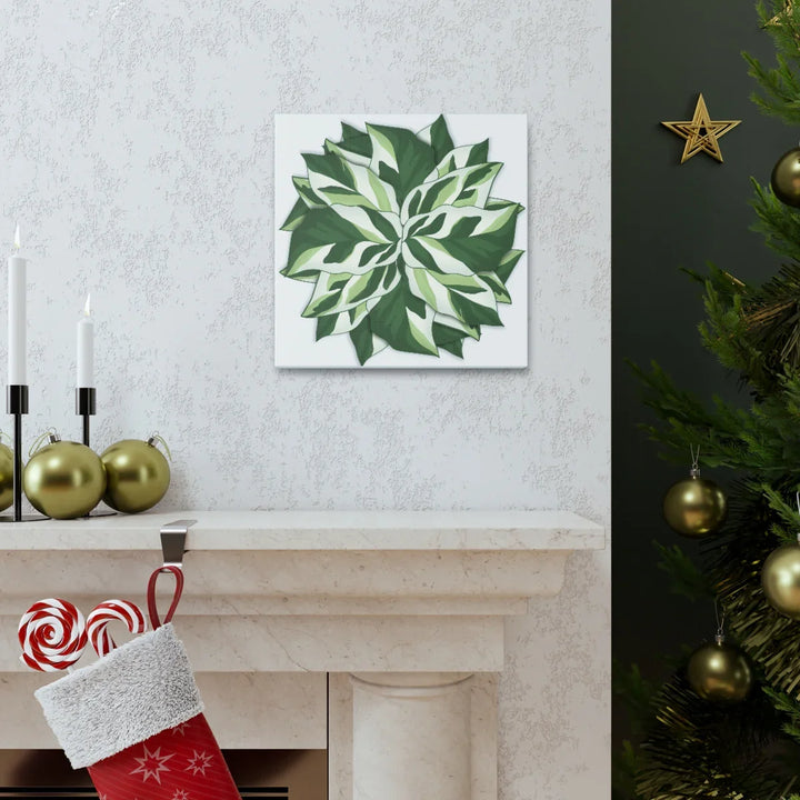 Calathea White Fusion Canvas | Indoor Wall Art - Matte Finish Botanical Canvas Art Print - Laura Christine Photography & Design