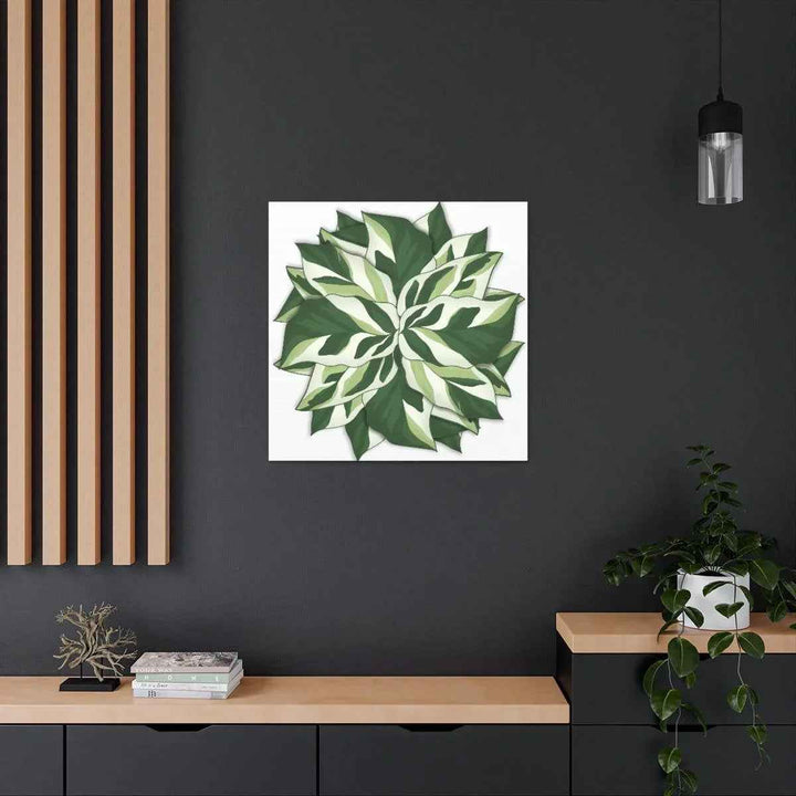 Calathea White Fusion Canvas | Indoor Wall Art - Matte Finish Botanical Canvas Art Print
