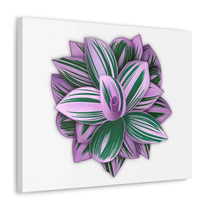 Tradescantia Nanouk Canvas – Botanical Canvas Art Print | Matte Finish Wall Decor - Laura Christine Photography & Design