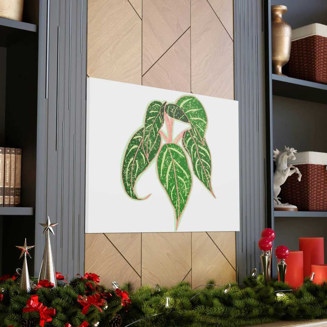 Aglaonema Plant Canvas | Sparkling Plant Artwork - Colorfast Canvas Art Print Decor