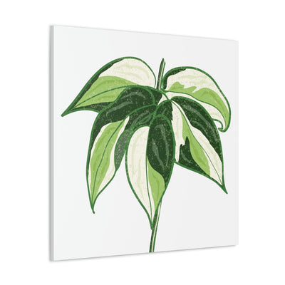 Philodendron 'Cream Splash' Canvas, Canvas, Printify, Art & Wall Decor, Canvas, Hanging Hardware, Home & Living, Indoor, Laura Christine Photography & Design, laurachristinedesign.com