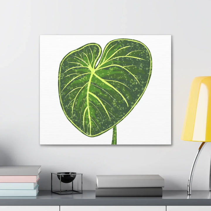Philodendron Gloriosum Canvas - Stretched Canvas Art Print | Matte Indoor Wall Art - Laura Christine Photography & Design