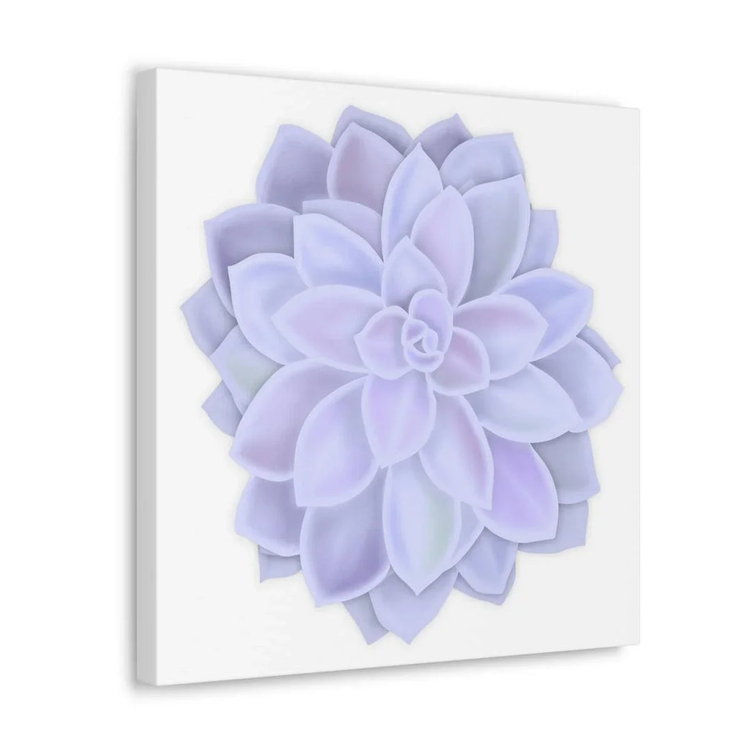 Graptopetalum 'Murasaki' Succulent Canvas, Canvas, Laura Christine Photography & Design, Art & Wall Decor, Canvas, Hanging Hardware, Home & Living, Indoor, Laura Christine Photography & Design, laurachristinedesign.com