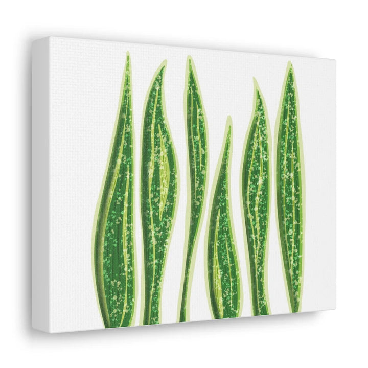 Snake Plant Canvas | Botanical Canvas Decor - Matte Finish Artwork for Living Room - Laura Christine Photography & Design