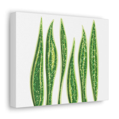 Snake Plant Canvas