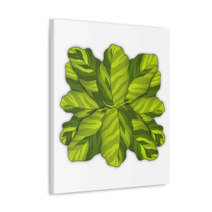 Calathea Yellow Fusion Canvas – Botanical Canvas Print With Unique Leaf Pattern Art