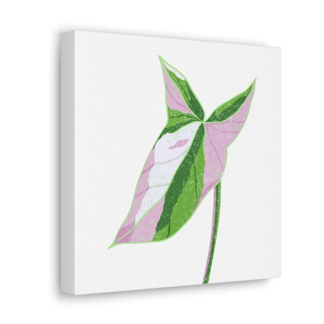 Syngonium Tricolor Canvas | Botanical Canvas Art Print With Matte Finish - Laura Christine Photography & Design