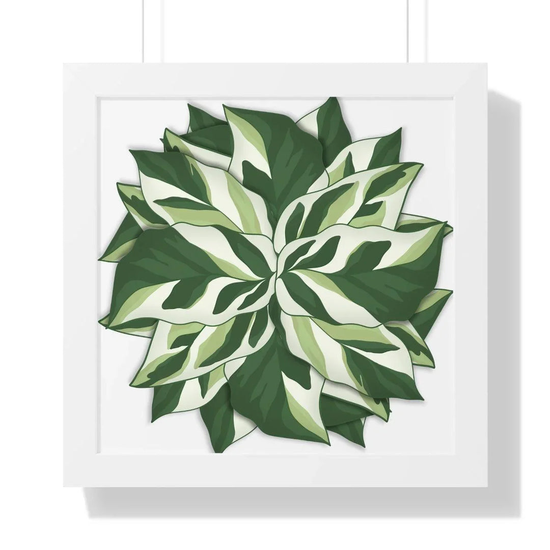 Calathea White Fusion Framed Print, Poster, Laura Christine Photography & Design, Bottle, Calathea, Canvas Bag, Coffee, Drinkware, Framed, Home & Living, Indoor, Paper, Posters, Prayer Plant, Reusable, Shopping Bag, Tea, Tote Bag, Travel, Tumbler, Water, White Fusion, Laura Christine Photography & Design, laurachristinedesign.com