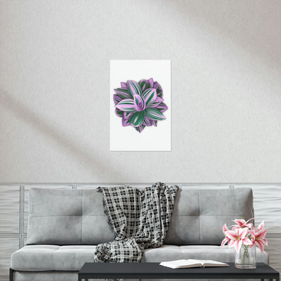 Tradescantia Nanouk Print