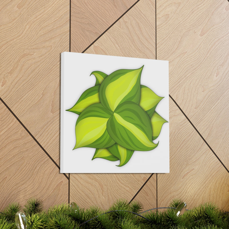 Philodendron Brasil Canvas