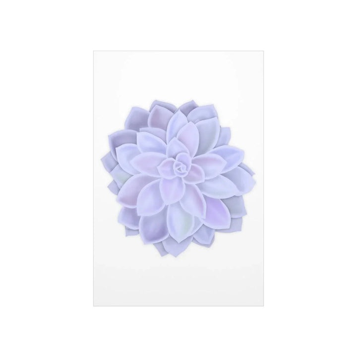 Graptopetalum 'Murasaki' Succulent Print, Poster, Laura Christine Photography & Design, Back to School, Home & Living, Indoor, Matte, Paper, Posters, Valentine's Day promotion, Laura Christine Photography & Design, laurachristinedesign.com