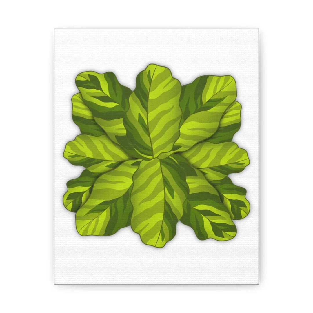 Calathea Yellow Fusion Canvas – Botanical Canvas Print With Unique Leaf Pattern Art - Laura Christine Photography & Design