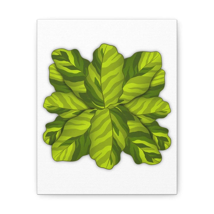 Calathea Yellow Fusion Canvas – Botanical Canvas Print With Unique Leaf Pattern Art - Laura Christine Photography & Design