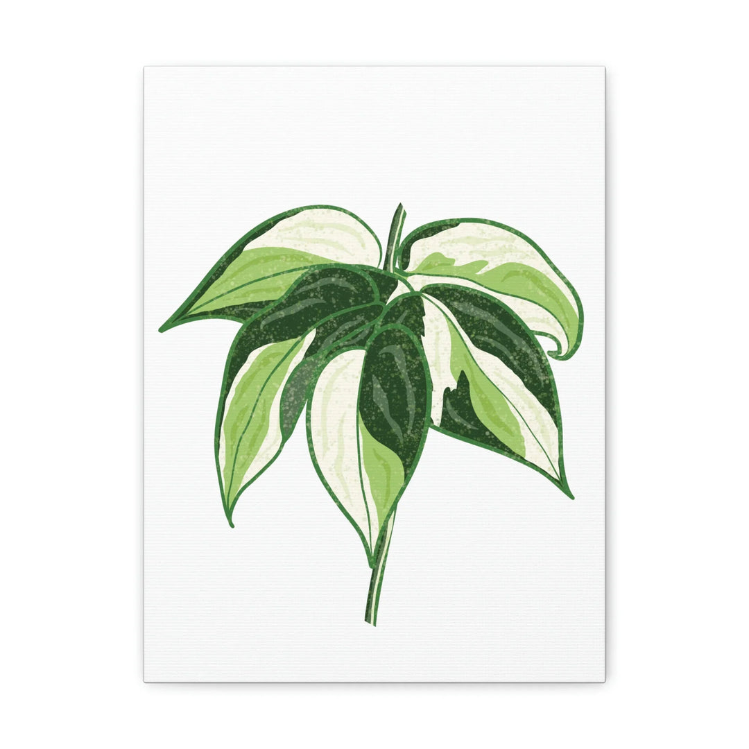 Philodendron Canvas Print - Cream Splash Variegated Plant Art on Matte Cotton Canvas