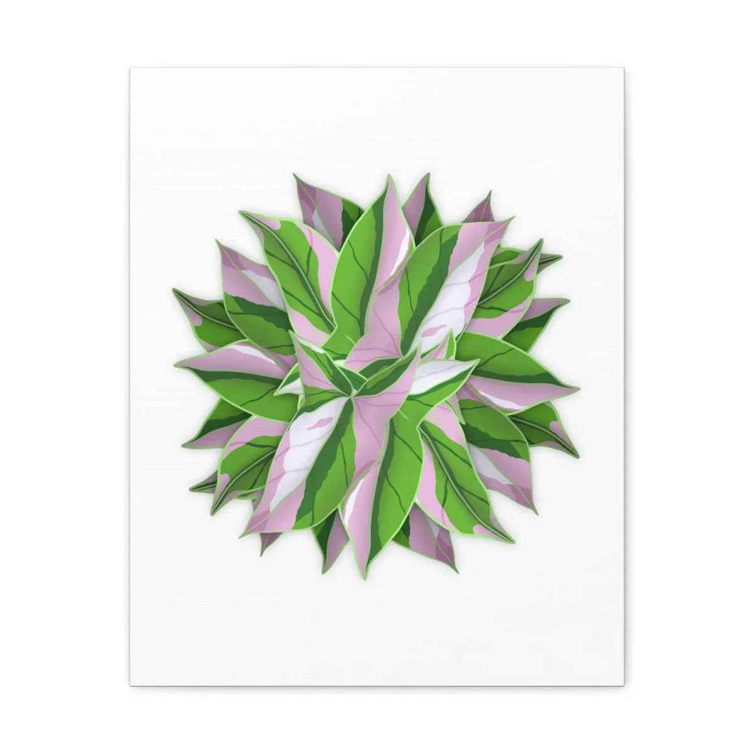 Tricolor Syngonium Canvas - Durable Canvas Art Print With Matte Finish & Botanical Design