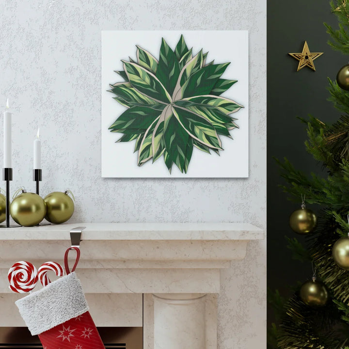 Stromanthe Triostar Canvas - Pastel Stripe Canvas Art Print With Vivid Color Artwork - Laura Christine Photography & Design