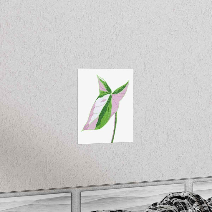 Syngonium Tricolor Print – Botanical Wall Art | Variegated Leaf Poster Unframed