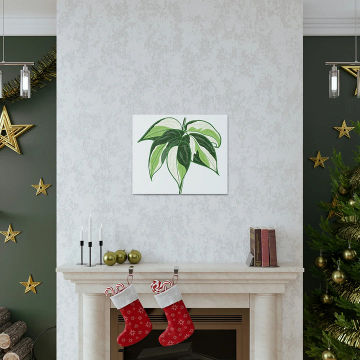 Philodendron Canvas Print - Cream Splash Variegated Plant Art on Matte Cotton Canvas