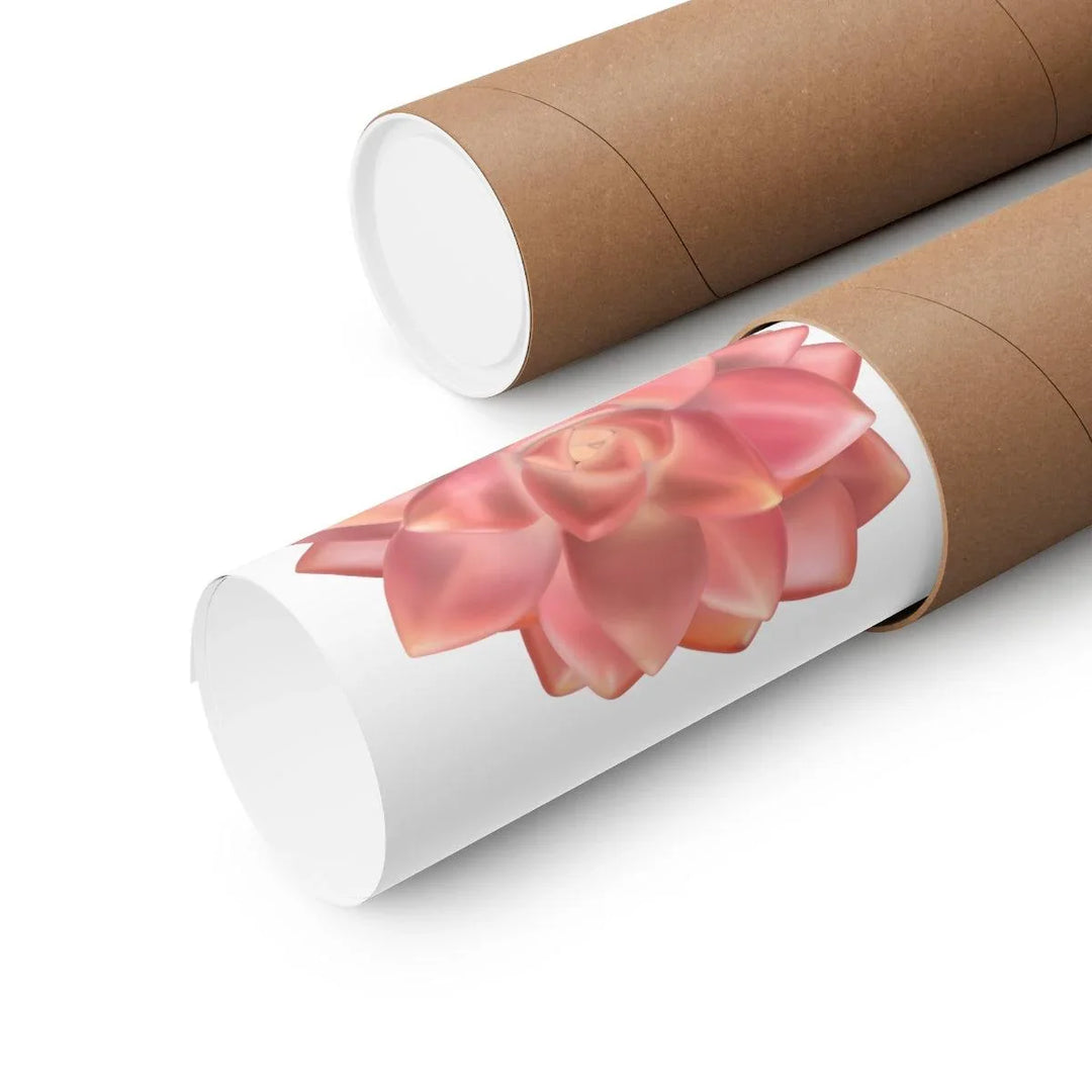 Graptosedum 'California Sunset'  Succulent Print, Poster, Laura Christine Photography & Design, Back to School, Home & Living, Indoor, Matte, Paper, Posters, Valentine's Day promotion, Laura Christine Photography & Design, laurachristinedesign.com