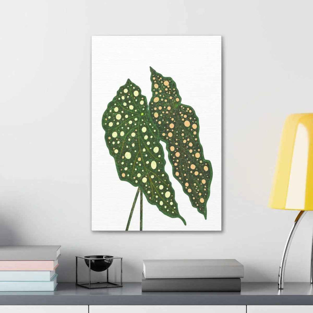 Begonia Maculata Canvas | Premium Canvas Art Print - Matte Finish, Durable Wall Decor