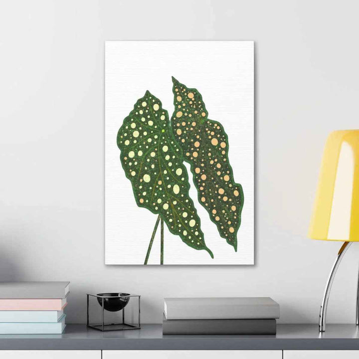 Begonia Maculata Canvas | Premium Canvas Art Print - Matte Finish, Durable Wall Decor