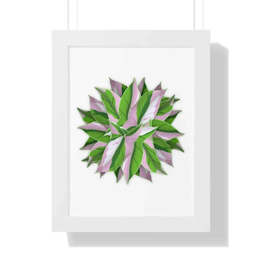 Syngonium Tricolor Print - Framed Botanical Art With Matte Finish & Acrylic Cover