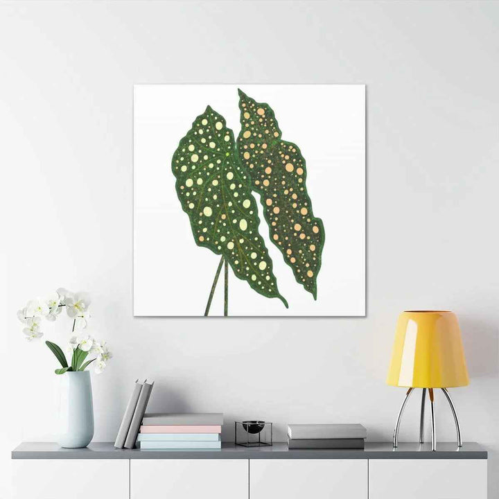 Begonia Maculata Canvas | Premium Canvas Art Print - Matte Finish, Durable Wall Decor