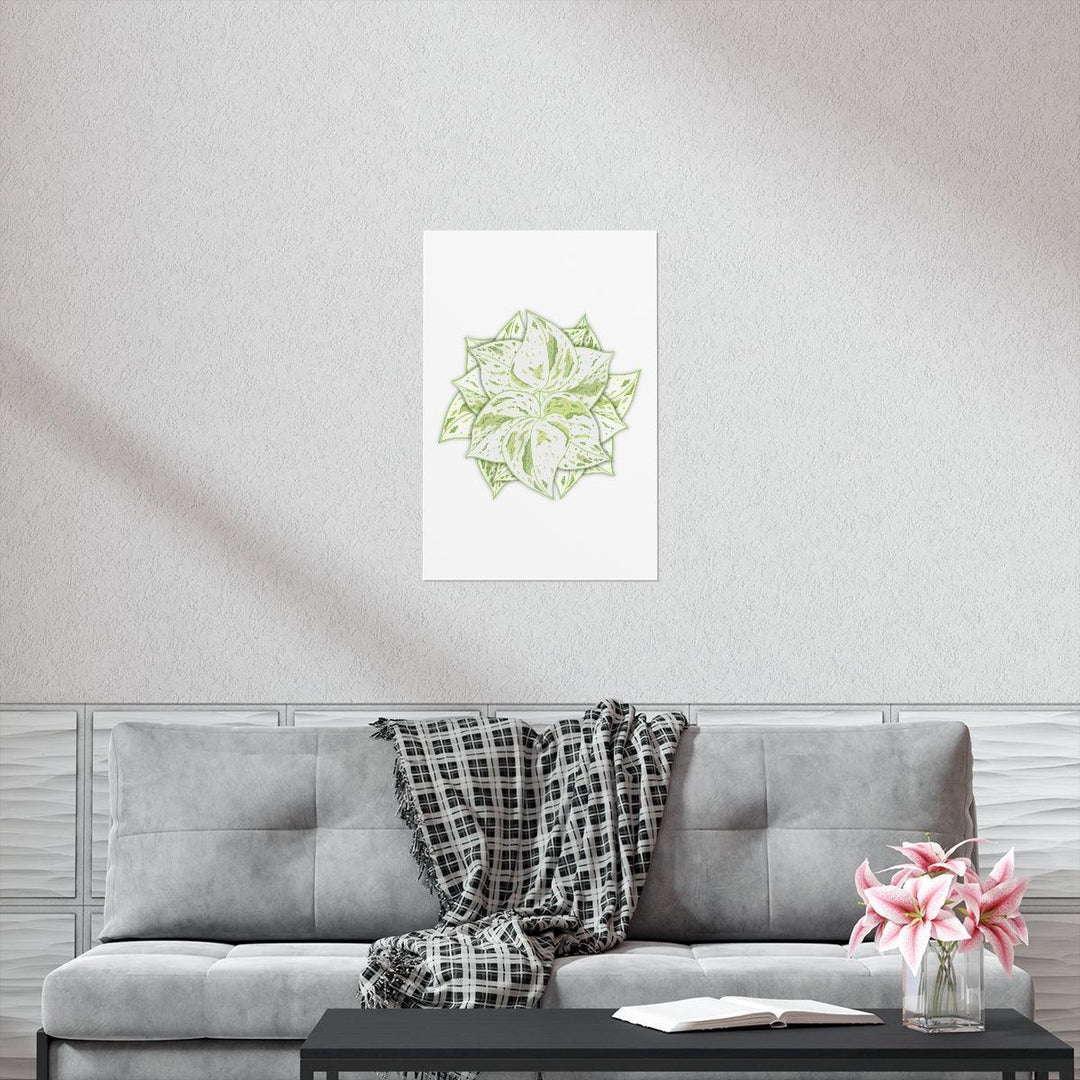 Snow Queen Pothos Print – Variegated Pothos Art on Museum Grade Paper Unframed - Laura Christine Photography & Design