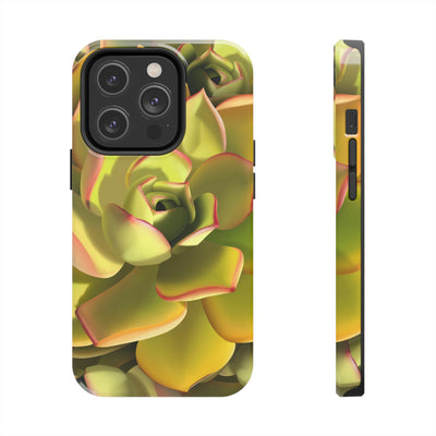 Noble Aeonium Succulent Phone Case, Phone Case, Printify, Accessories, Glossy, iPhone Cases, Matte, Phone accessory, Phone Cases, Samsung Cases, Laura Christine Photography & Design, laurachristinedesign.com