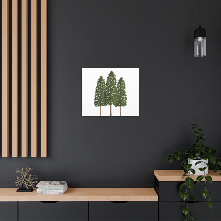 Ponderosa Pine Canvas - Large Stretched Cotton Canvas Art Print With Matte Finish