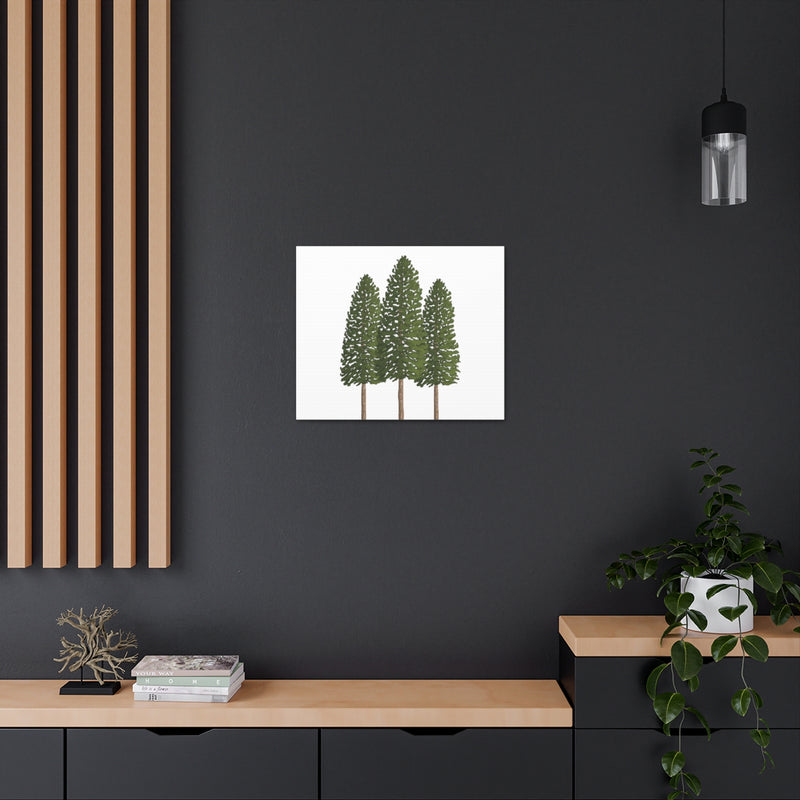 Ponderosa Pine Canvas