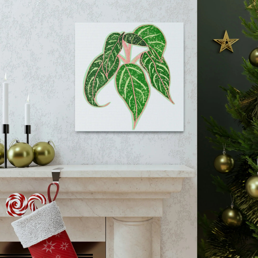 Aglaonema Plant Canvas | Sparkling Plant Artwork - Colorfast Canvas Art Print Decor