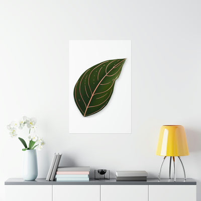 Aglaonema Rotundum Print