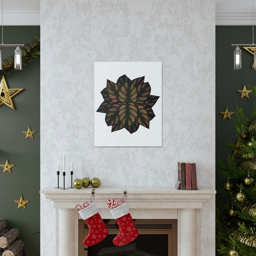 Calathea Pinstripe Canvas – Botanical Canvas Art Print | Matte Finish Wall Decor