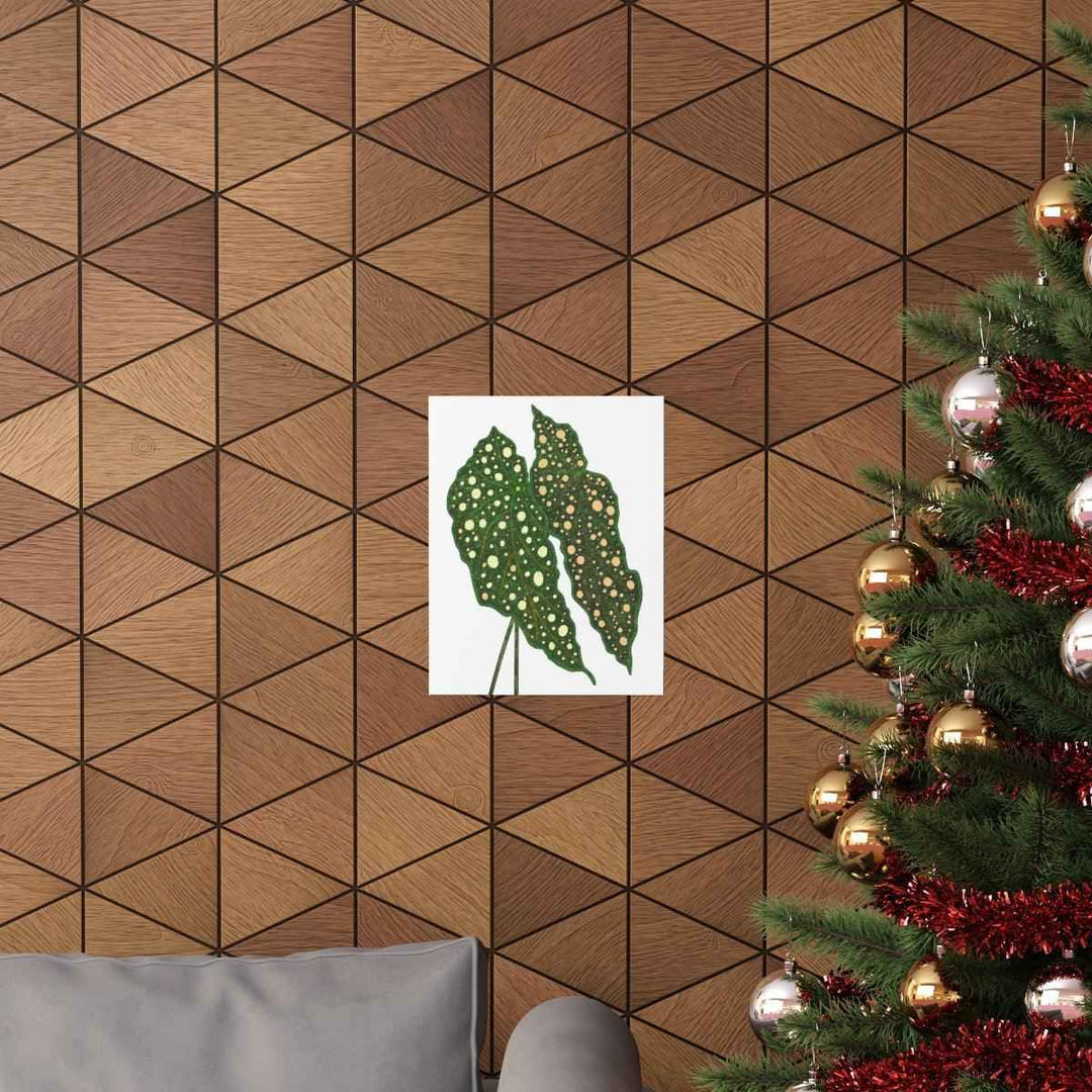 Begonia Maculata Print - Botanical Wall Art on Museum Grade Paper | Matte Finish Unframed