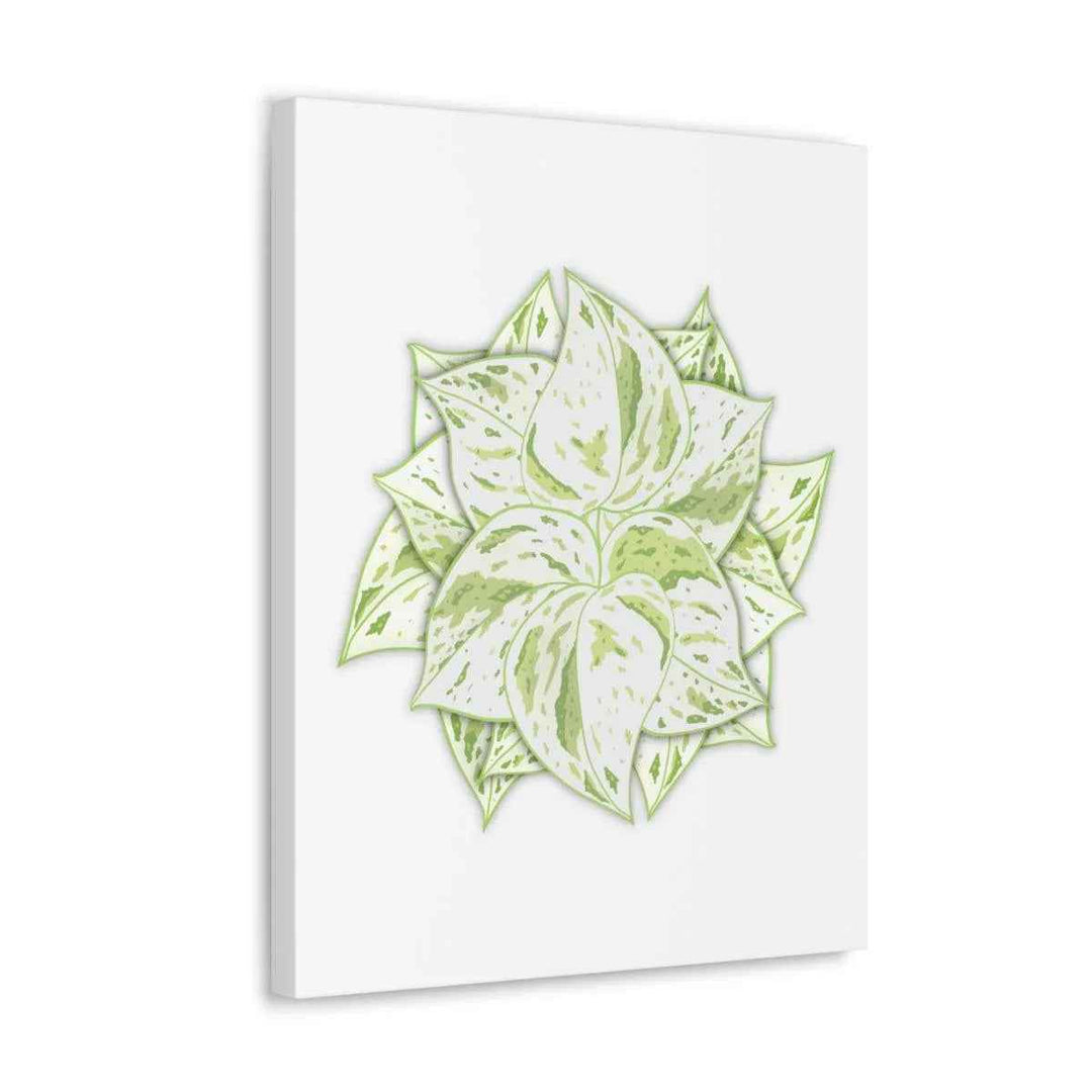 Snow Queen Pothos Canvas – Variegated Leaf Canvas Art Print | Durable Cotton