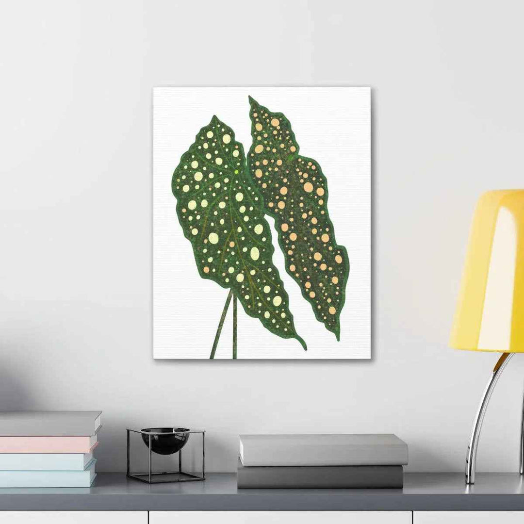 Begonia Maculata Canvas | Premium Canvas Art Print - Matte Finish, Durable Wall Decor