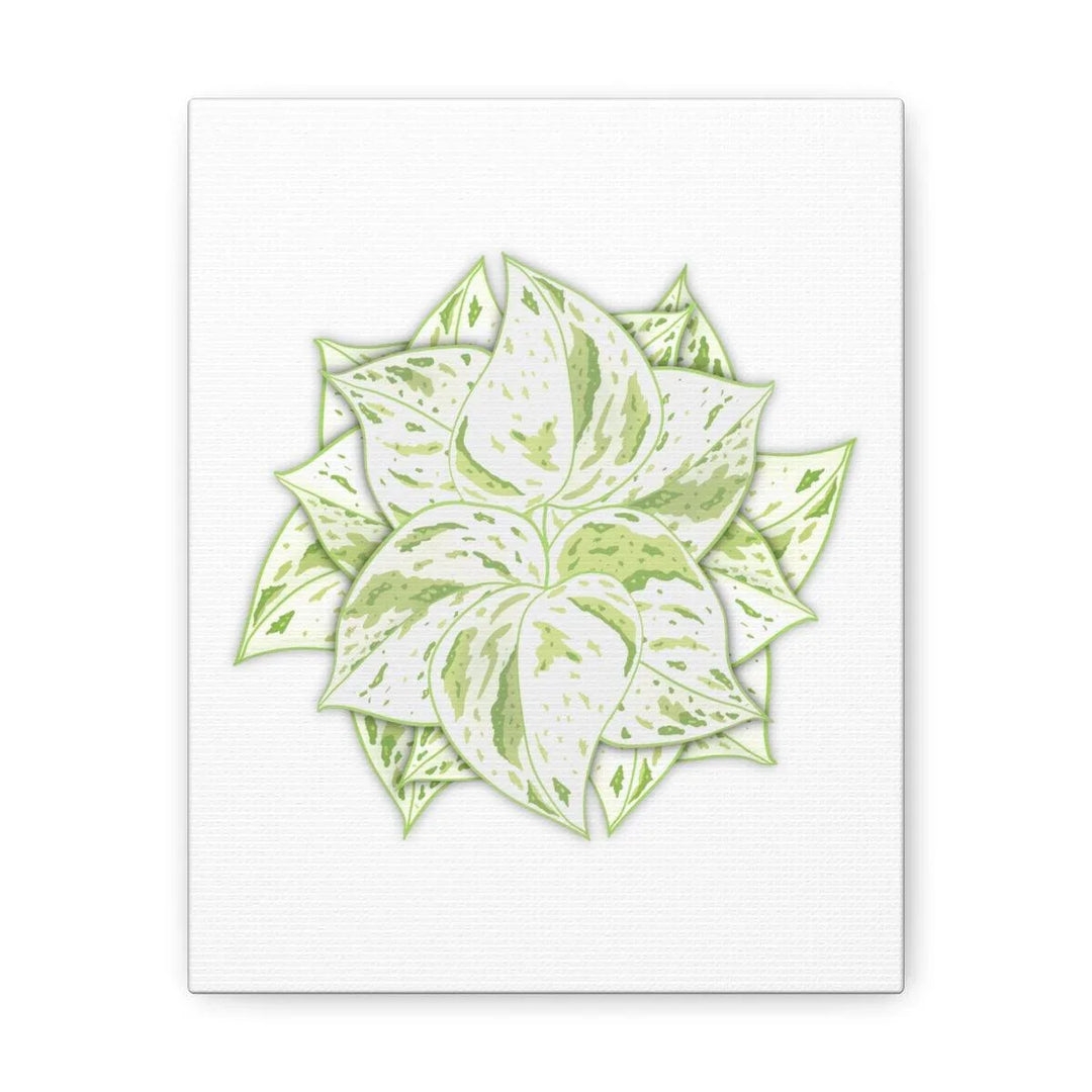 Snow Queen Pothos Canvas – Variegated Leaf Canvas Art Print | Durable Cotton - Laura Christine Photography & Design