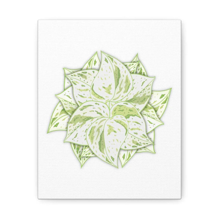 Snow Queen Pothos Canvas – Variegated Leaf Canvas Art Print | Durable Cotton - Laura Christine Photography & Design