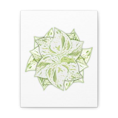 Snow Queen Pothos Canvas, Canvas, Laura Christine Photography & Design, Art & Wall Decor, Canvas, Hanging Hardware, Home & Living, Indoor, Laura Christine Photography & Design, 