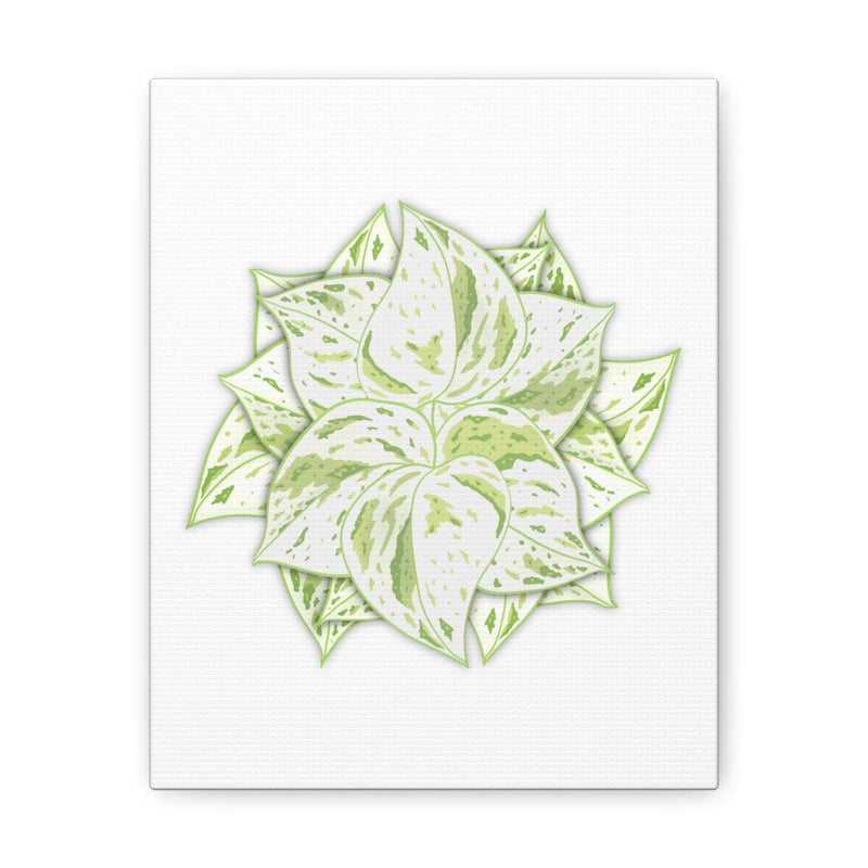 Snow Queen Pothos Canvas, Canvas, Laura Christine Photography & Design, Art & Wall Decor, Canvas, Hanging Hardware, Home & Living, Indoor, Laura Christine Photography & Design, 