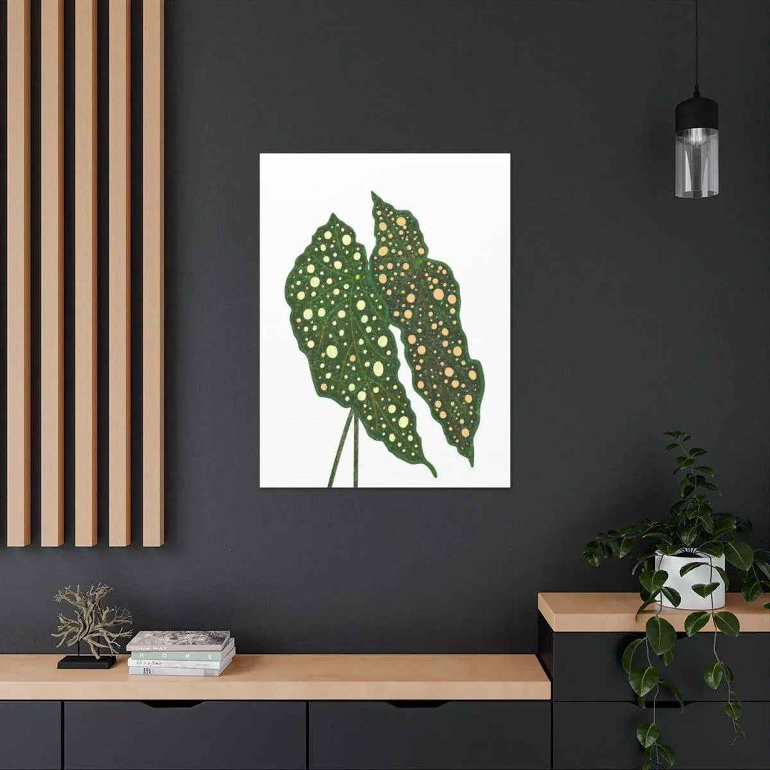 Begonia Maculata Canvas | Premium Canvas Art Print - Matte Finish, Durable Wall Decor