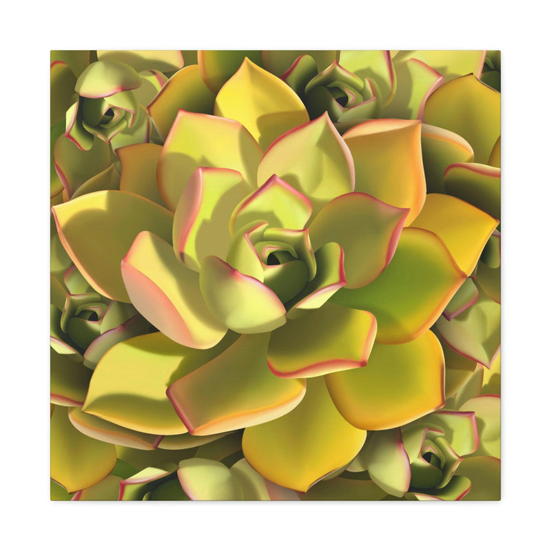 Noble Aeonium Succulent Pattern Canvas, Canvas, Printify, Art & Wall Decor, Canvas, Hanging Hardware, Home & Living, Indoor, Laura Christine Photography & Design, laurachristinedesign.com