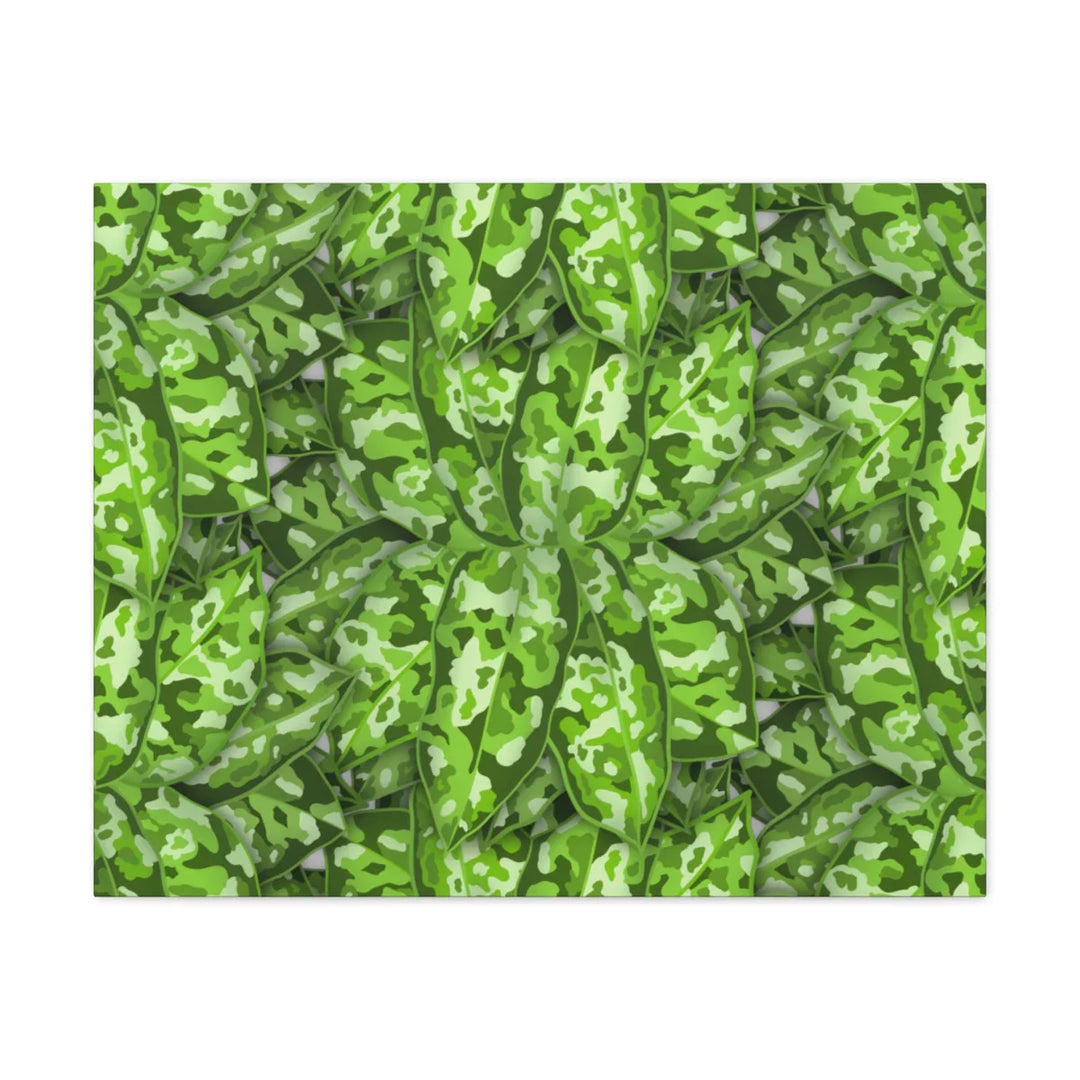 Aglaonema Pictum Canvas - Rare Camouflage Leaf Print Canvas Art Print