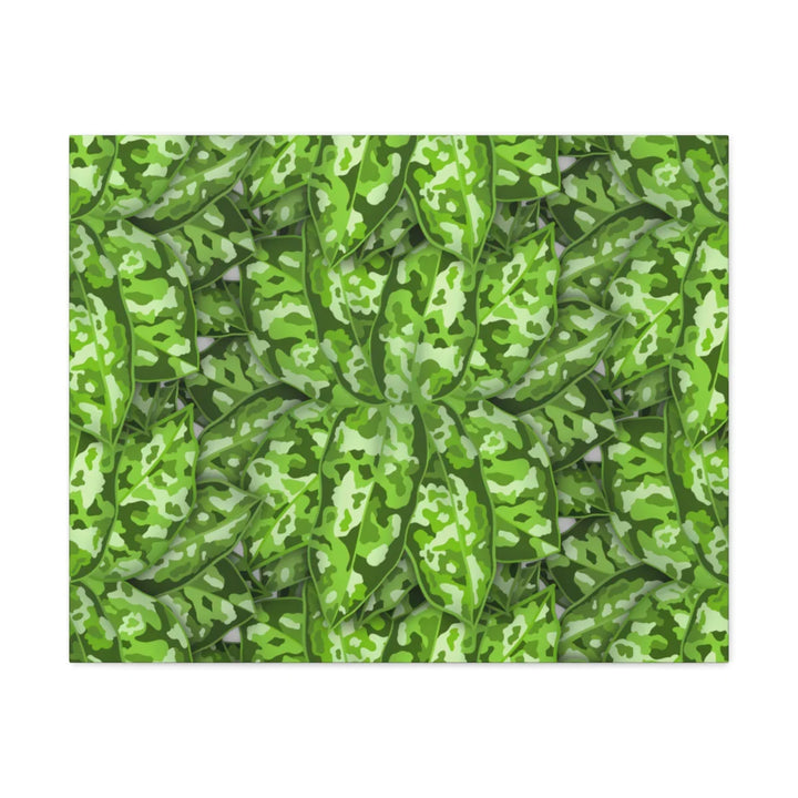Aglaonema Pictum Canvas - Rare Camouflage Leaf Print Canvas Art Print