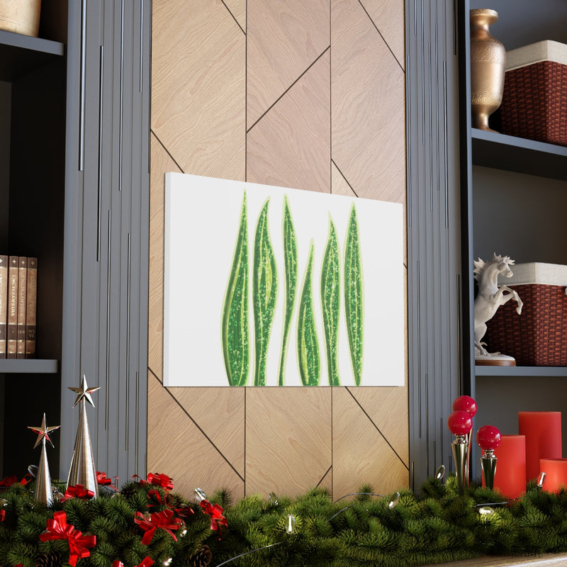 Snake Plant Canvas