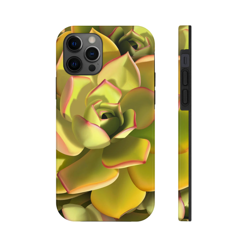 Noble Aeonium Succulent Phone Case, Phone Case, Printify, Accessories, Glossy, iPhone Cases, Matte, Phone accessory, Phone Cases, Samsung Cases, Laura Christine Photography & Design, laurachristinedesign.com